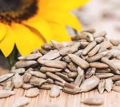 Sunflower Seeds
